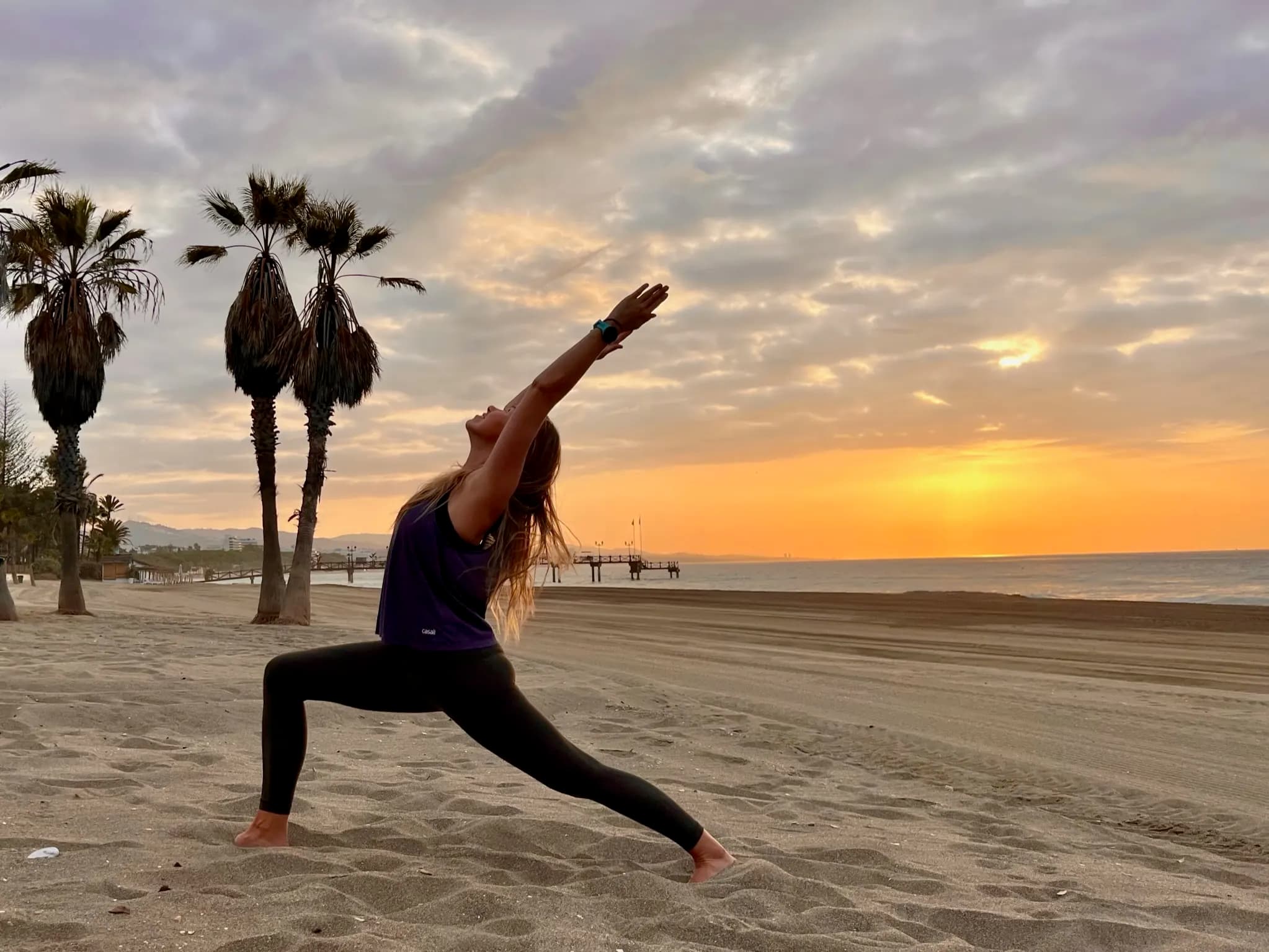 Warrior on the sand, the sun low and palms behind.